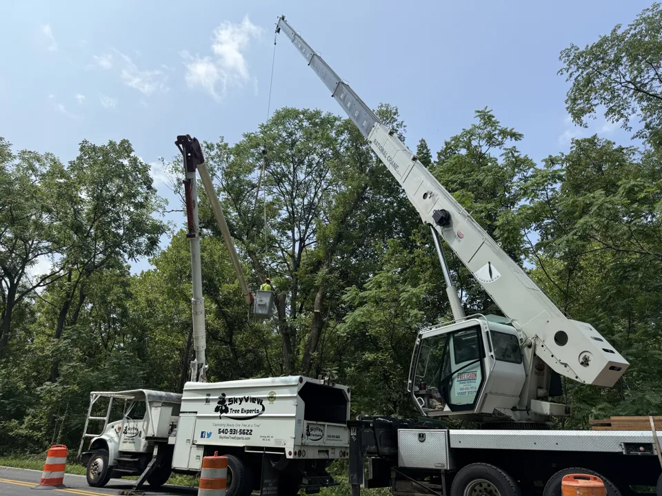 SkyView bucket truck beside crane equipment at a tree-work site
