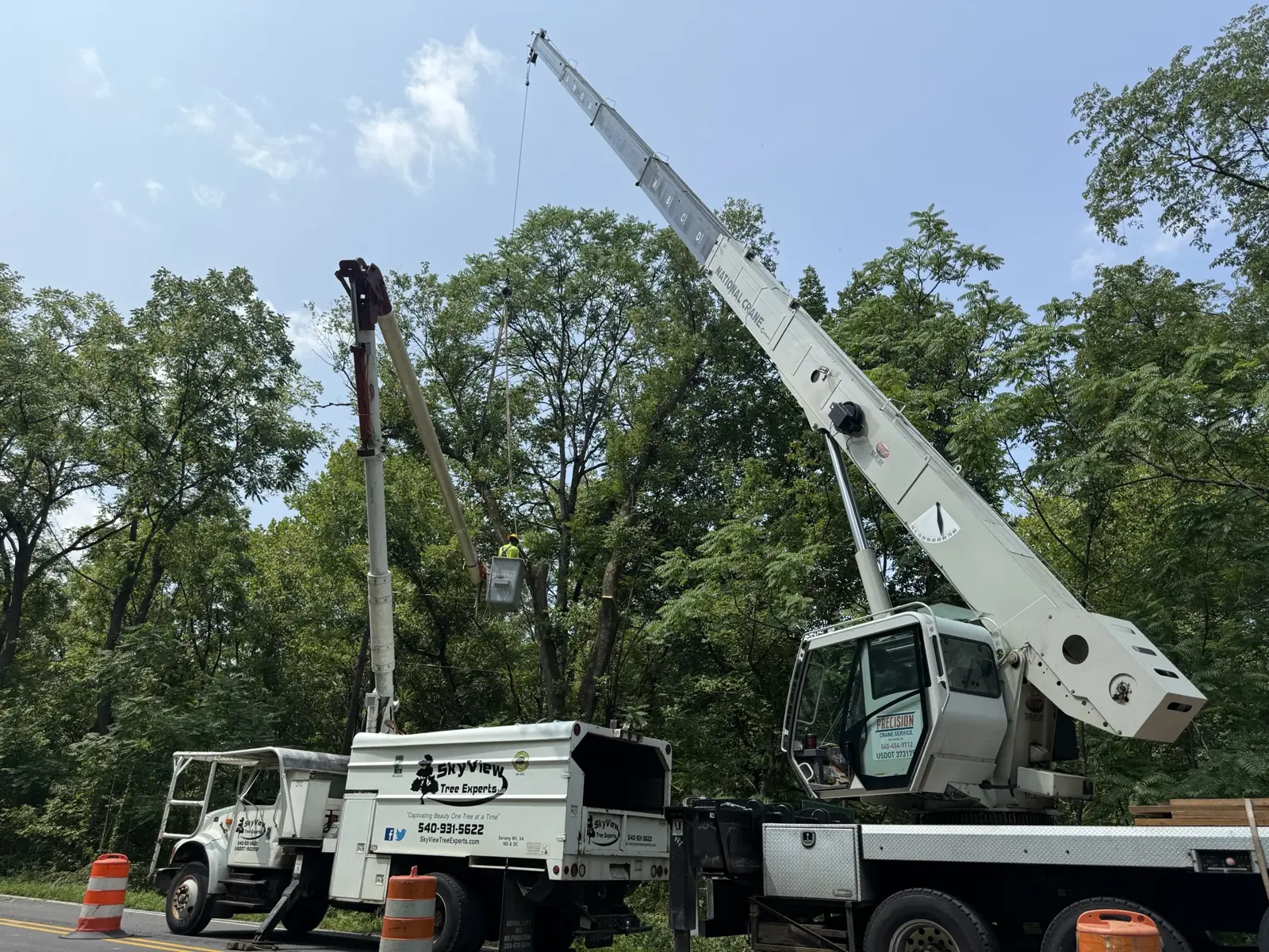 SkyView bucket truck and crane equipment at a tree-work site