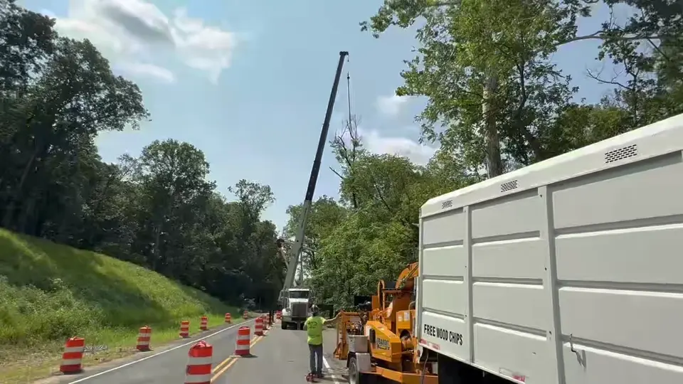 Work vehicles and traffic control along a wooded road